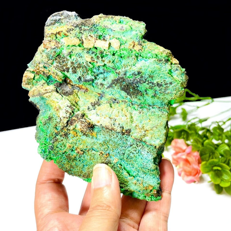 Chrysocolla with Conichalcite Mineral - Large Cabinet Size