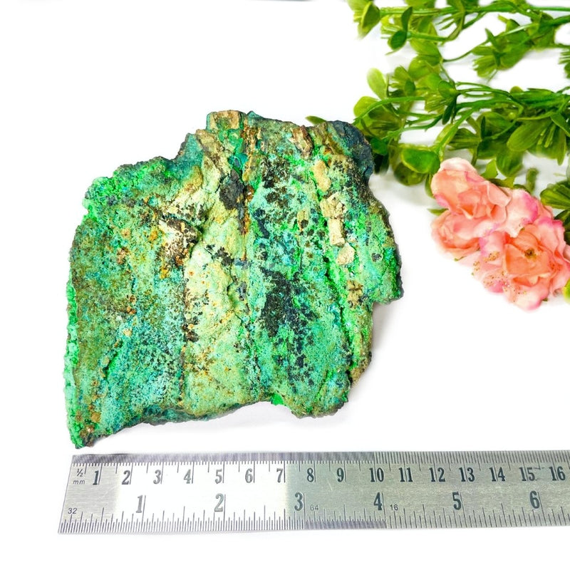 Chrysocolla with Conichalcite Mineral - Large Cabinet Size