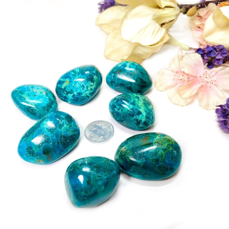 Chrysocolla Tumbles - Peruvian (Emotional Balance and Communication)