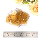 Citrine Cluster (For Career and Business)