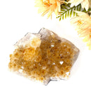 Citrine Cluster (For Career and Business)