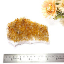 Citrine Cluster (For Career and Business)