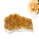 Citrine Cluster (For Career and Business)