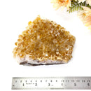 Citrine Cluster (For Career and Business)