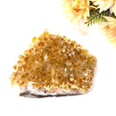 Citrine Cluster (For Career and Business)
