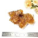 Citrine Cluster (For Career and Business)