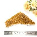 Citrine Cluster (For Career and Business)