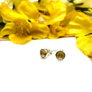 Citrine Earrings in Silver
