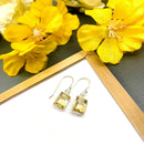 Citrine Earrings in Silver