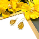 Citrine Earrings in Silver