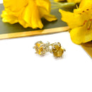 Citrine Earrings in Silver
