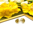 Citrine Earrings in Silver