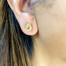 Citrine Earrings in Silver