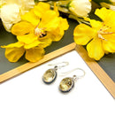 Citrine Earrings in Silver