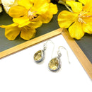 Citrine Earrings in Silver
