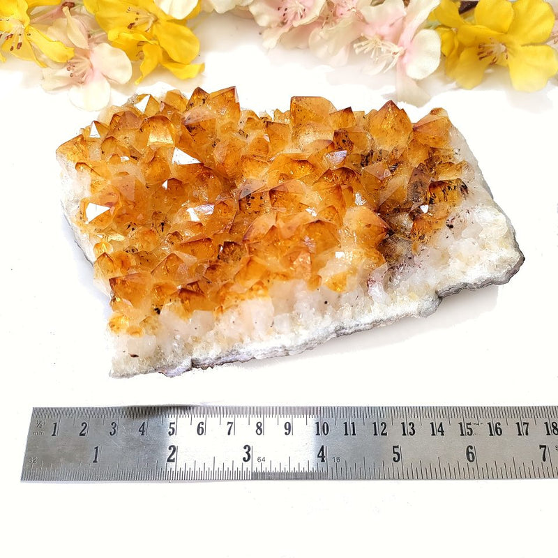 Special Citrine Clusters AAA Extra Quality (Career and Business)