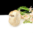 Clear Quartz Baby Geodes or Wish Caves