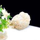 Clear Quartz Baby Geodes or Wish Caves