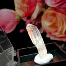 Clear Quartz Lemurian Point Specimen (Si Chuan)