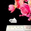 Clear Quartz Lemurian Point Specimen (Si Chuan)