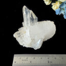 Clear Quartz Cluster (Brazil)