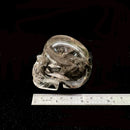 Large Clear Quartz Crystal Skull
