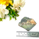 Copper Ore (Michigan) Slice