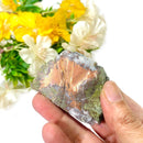 Copper Ore (Michigan) Slice