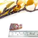 Red Crazy Lace Agate Slice (Happiness & Positivity)