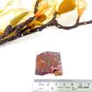 Red Crazy Lace Agate Slice (Happiness & Positivity)