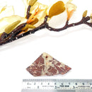 Red Crazy Lace Agate Slice (Happiness & Positivity)