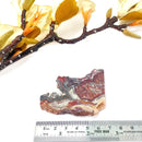 Red Crazy Lace Agate Slice (Happiness & Positivity)