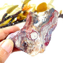 Red Crazy Lace Agate Slice (Happiness & Positivity)