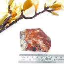 Red Crazy Lace Agate Slice (Happiness & Positivity)