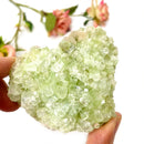 Cut Point Green Apophyllite Clusters (Love & Spiritual Growth)