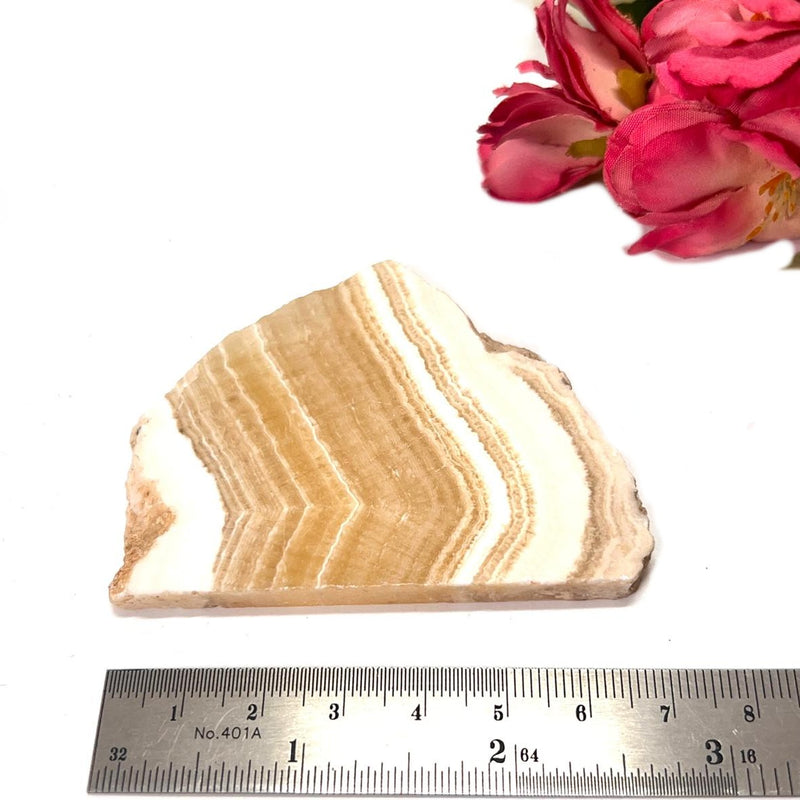 Yellow Lace Agate Slice