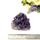 Amethyst Cluster AAA Extra Quality (Intuition and Spiritual Evolution)