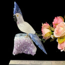 Medium Sized Crystal Parrots on Amethyst Clusters from Brazil