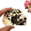 Peanut Wood Slices  (Stability)