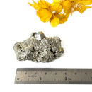 Pyrite Cluster Regular Quality (For Fame and Fortune)