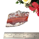 Red Ocean Jasper Slice (Patience)