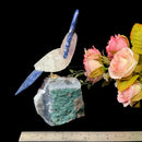 Medium Sized Crystal Parrots on Amethyst Clusters from Brazil