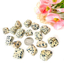 Dalmatian Jasper Tumble (Fun and Joy)
