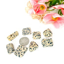 Dalmatian Jasper Tumble (Fun and Joy)
