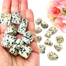 Dalmatian Jasper Tumble (Fun and Joy)