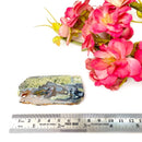 Dendritic Copper Chrysocolla on Chalcedony Slices