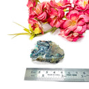 Dendritic Copper Chrysocolla on Chalcedony Slices