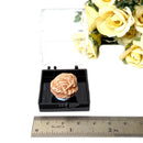Desert Rose Mineral Specimen