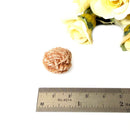 Desert Rose Mineral Specimen