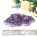 Amethyst Cluster (Spirituality and Wisdom)
